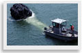 GML Marine Service Specialists